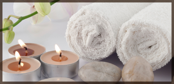 elm hurst inn spa